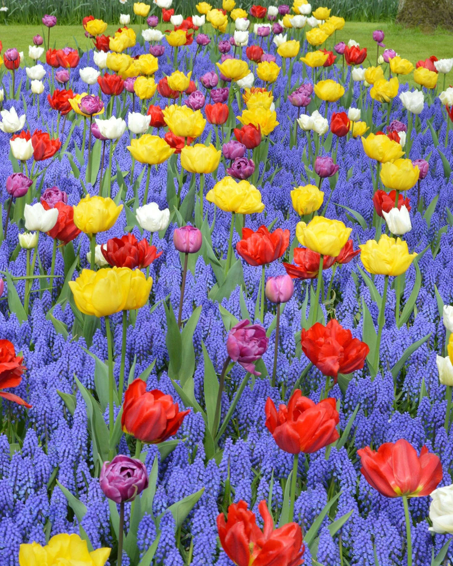 Collection 'Floating Doubles' 3 Collection 'Floating Doubles'