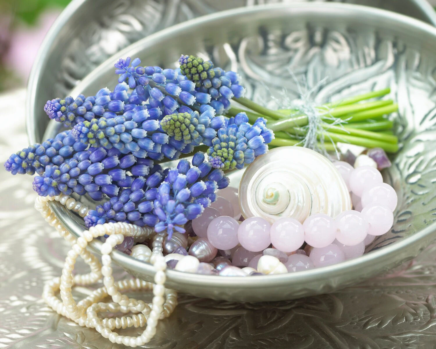 Muscari 'Bling Bling' 10 Muscari 'Bling Bling' - Image 8