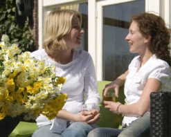 Narcissus 'Avalanche' 14 Narcissus 'Avalanche' -Beauty Flowers Shop narcissus avalanche 7