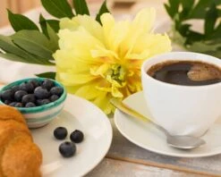 Paeonia 'Bartzella' 11 Paeonia 'Bartzella' -Beauty Flowers Shop peony bartzella 2