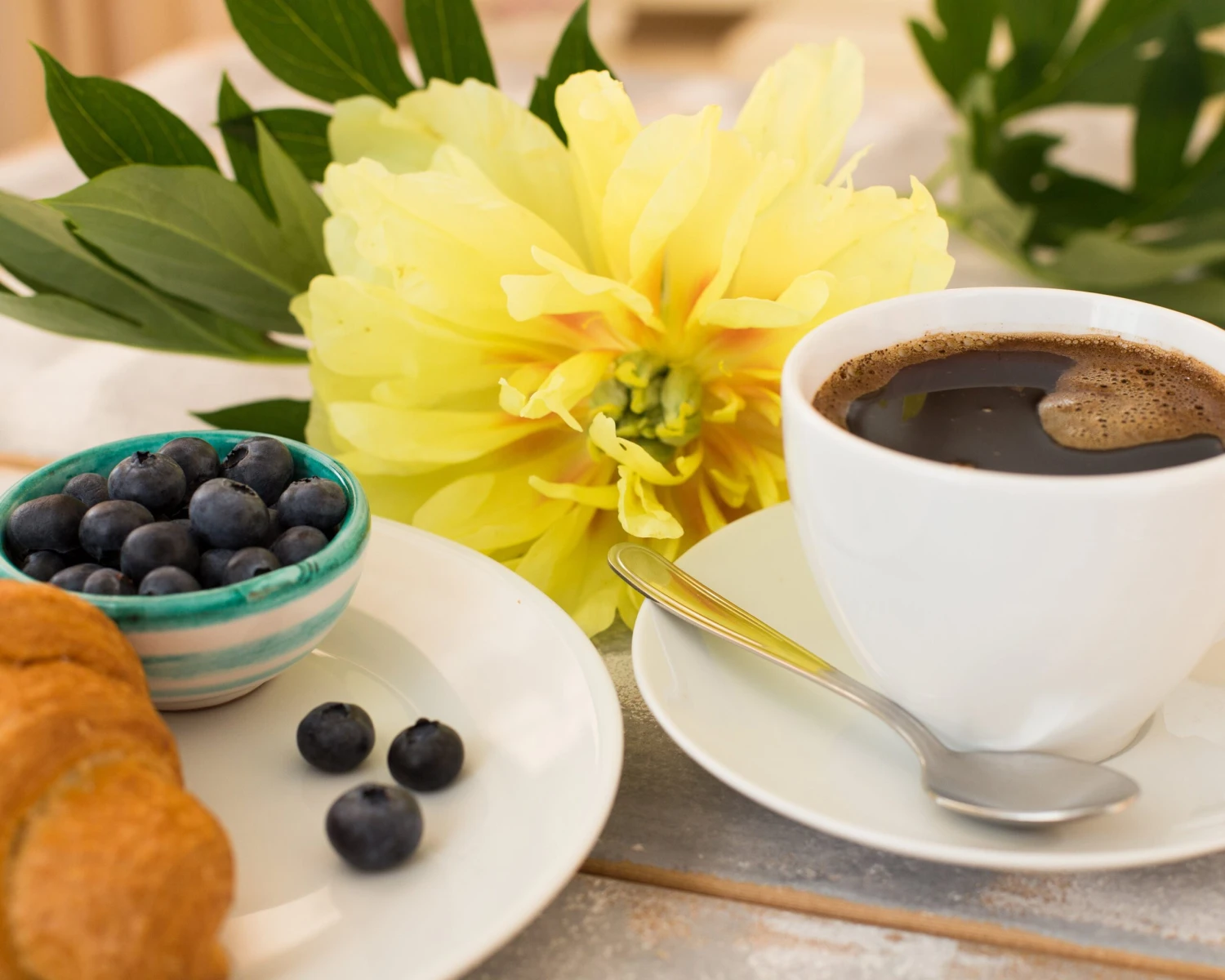 Paeonia 'Bartzella' 5 Paeonia 'Bartzella' - Image 3