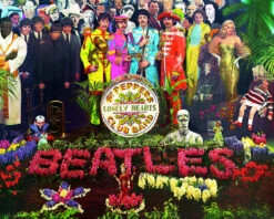 Hyacinth Collection 'Sgt Pepper's' -Beauty Flowers Shop sgt pepper collection 2