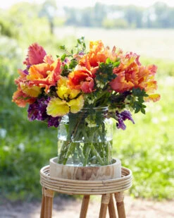 Tulip 'Amazing Parrot' 20 Tulip 'Amazing Parrot' -Beauty Flowers Shop tulip amazing parrot 9