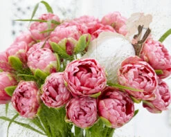 Tulip 'Wedding Gift' -Beauty Flowers Shop tulip wedding gift 20